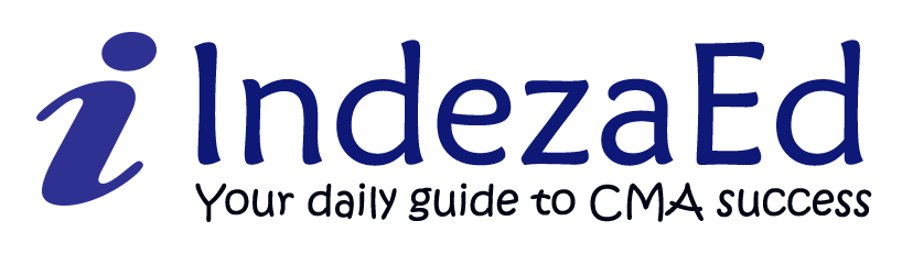 IndezaEd Logo